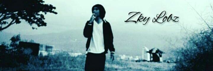 ZkyLobz's profile banner image
