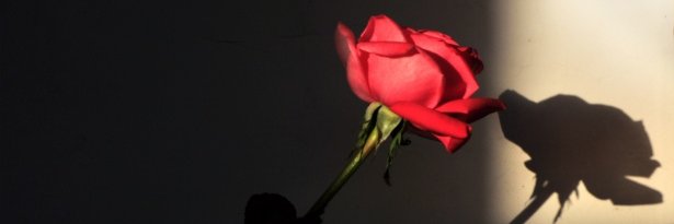 Thinsulate09's profile banner image