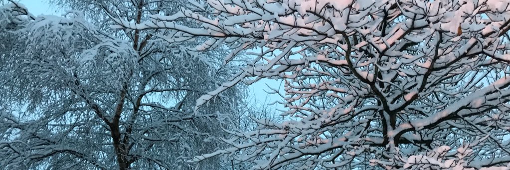 betht85's profile banner image