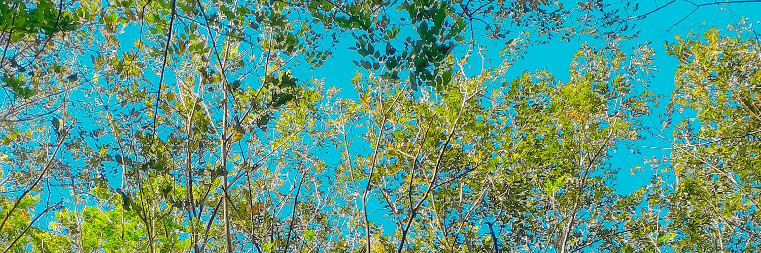Zulfianiii's profile banner image