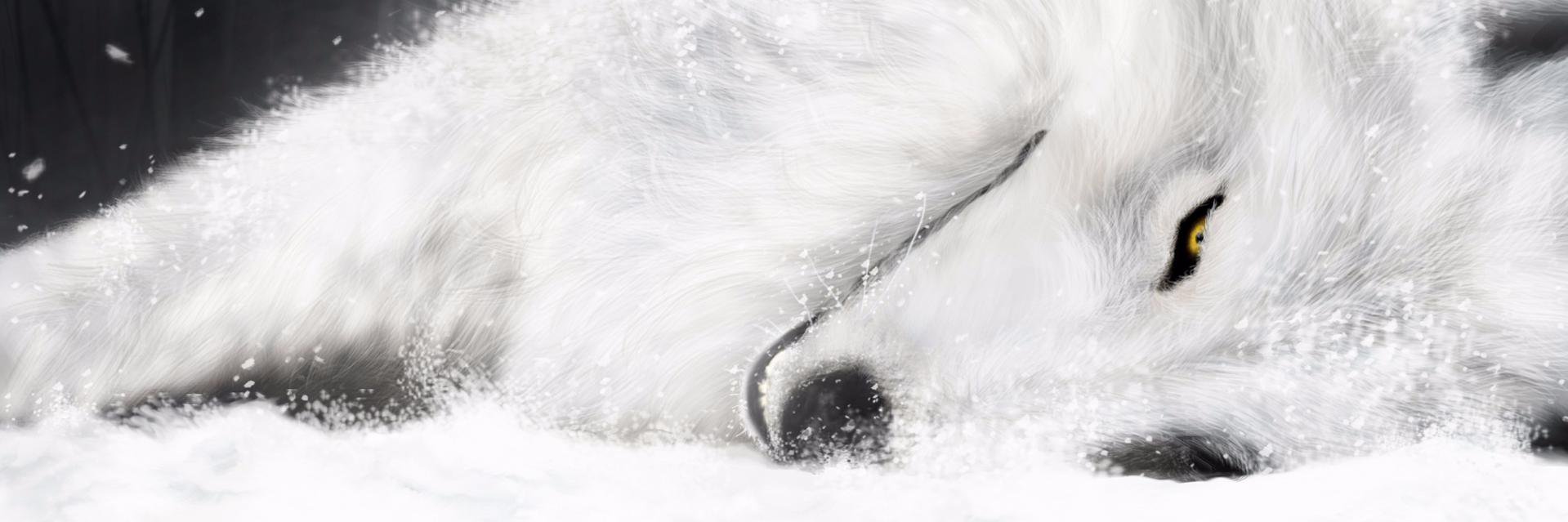 Nhy0n's profile banner image