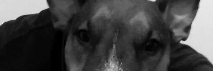 Nego2R's profile banner image