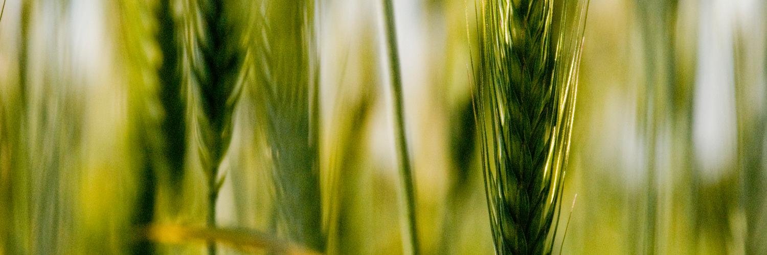 Tobias Nordahl banner