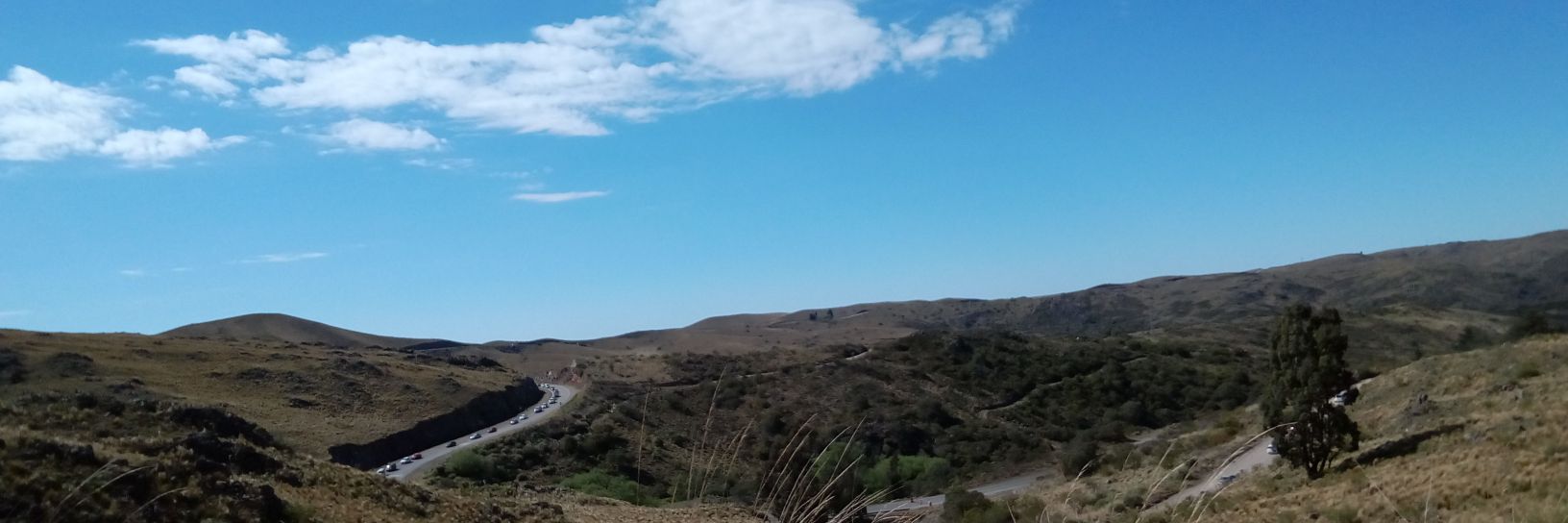 bordonadia16's profile banner image