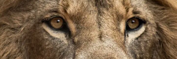 Aldo Emanuel Martínez. banner