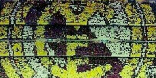 project16's profile banner image