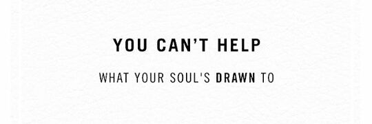 IamMsFlowers's profile banner image