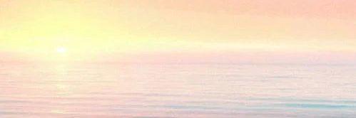 NunkyBee's profile banner image