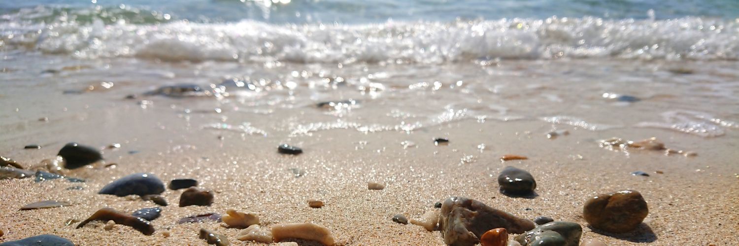 ばかずきん banner