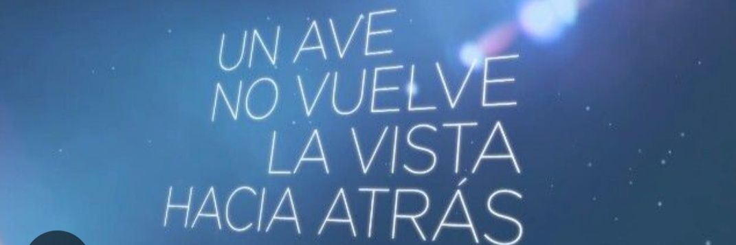 Psilgar's profile banner image