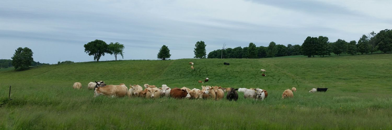 PtboCattlemen's profile banner image