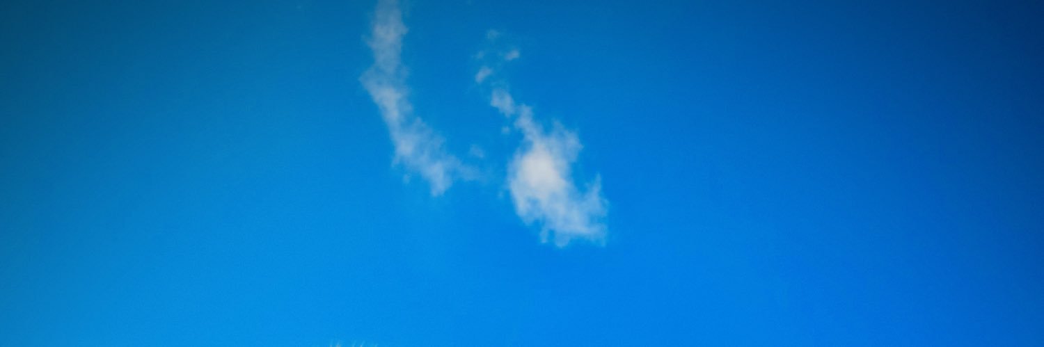 Felixnelcosta's profile banner image