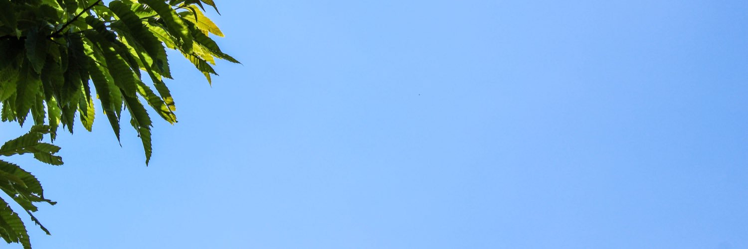 JoannasCorner's profile banner image