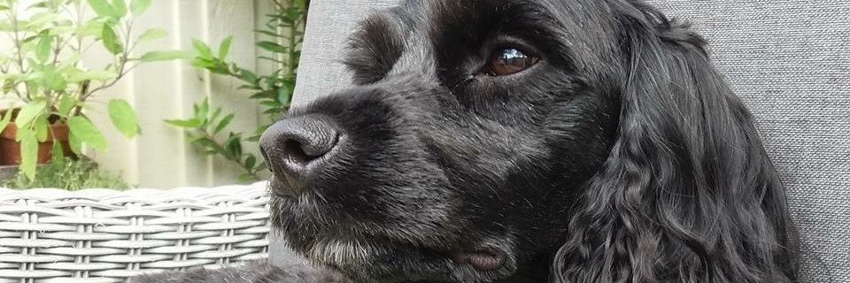 AndyHillam's profile banner image