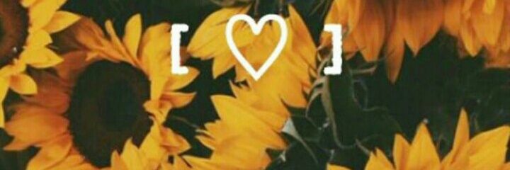 paramoroeira's profile banner image