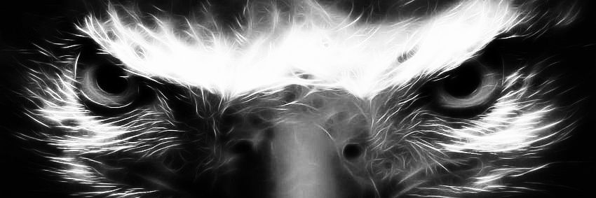 djn13_'s profile banner image