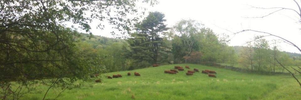 Walker Farm at WH banner