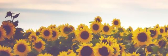 _HHaylee's profile banner image