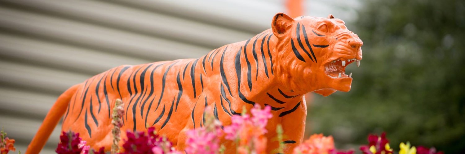 SavannahSt Admission banner