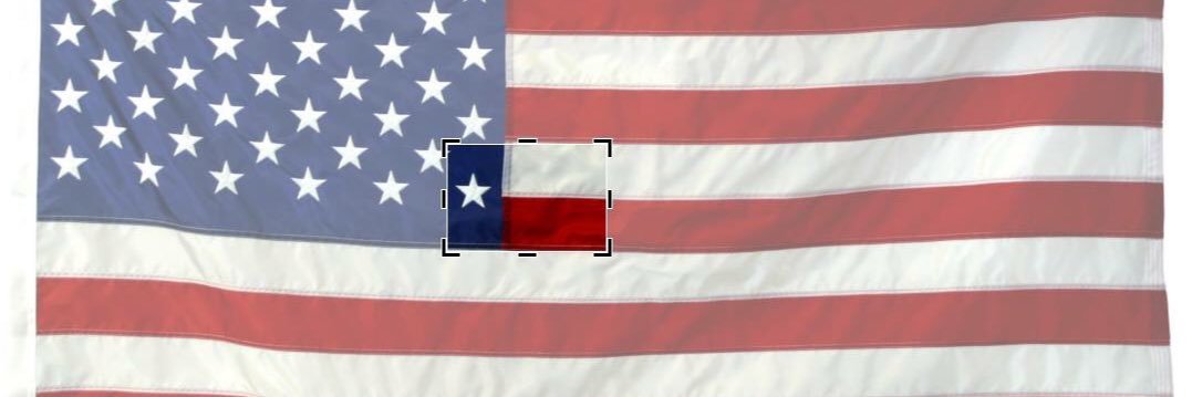 Texian D Wright banner