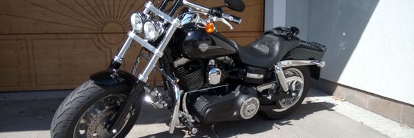 CatRokitansky Profile Banner