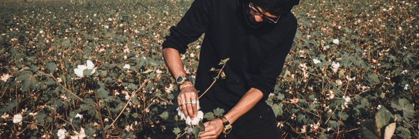 bobbykolade Profile Banner