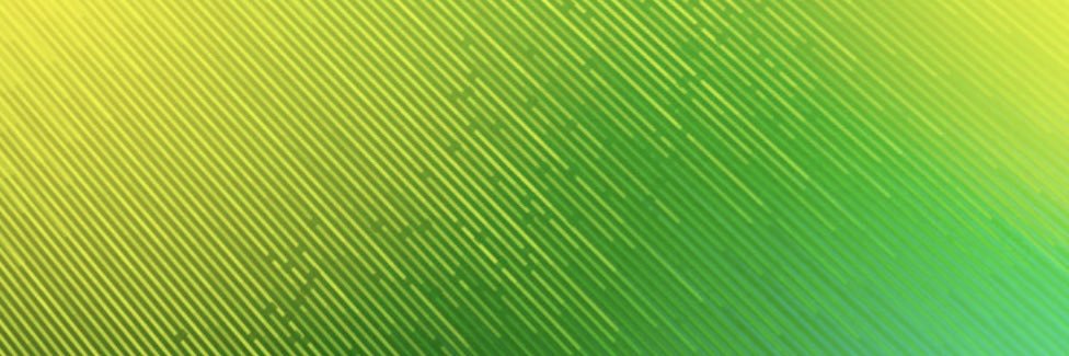 PitrezRoberta's profile banner image