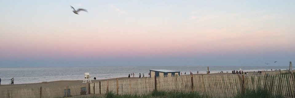 Alexandra D. Long, PhD banner