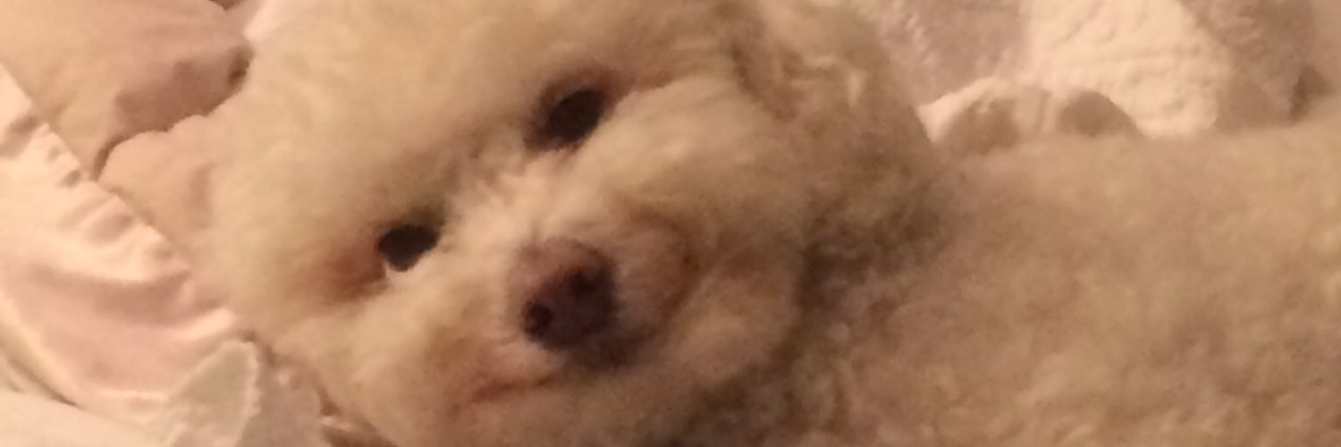 Sarz_CopezII's profile banner image