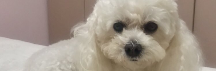 tamibritoo's profile banner image