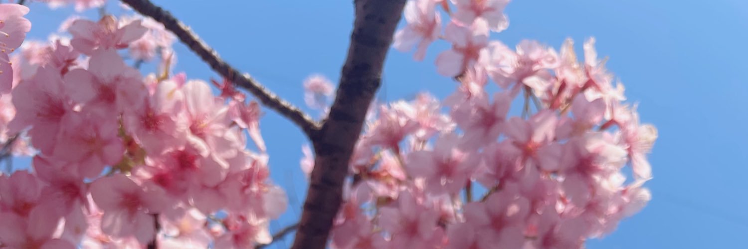 maple_tail's profile banner image