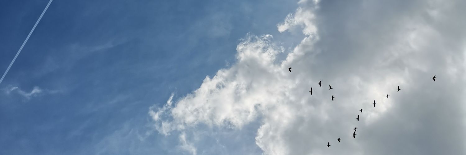 cosmoscassidy's profile banner image