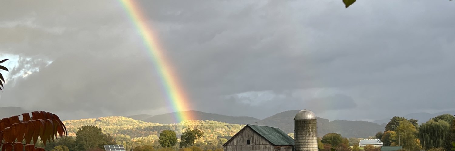 abonvini's profile banner image