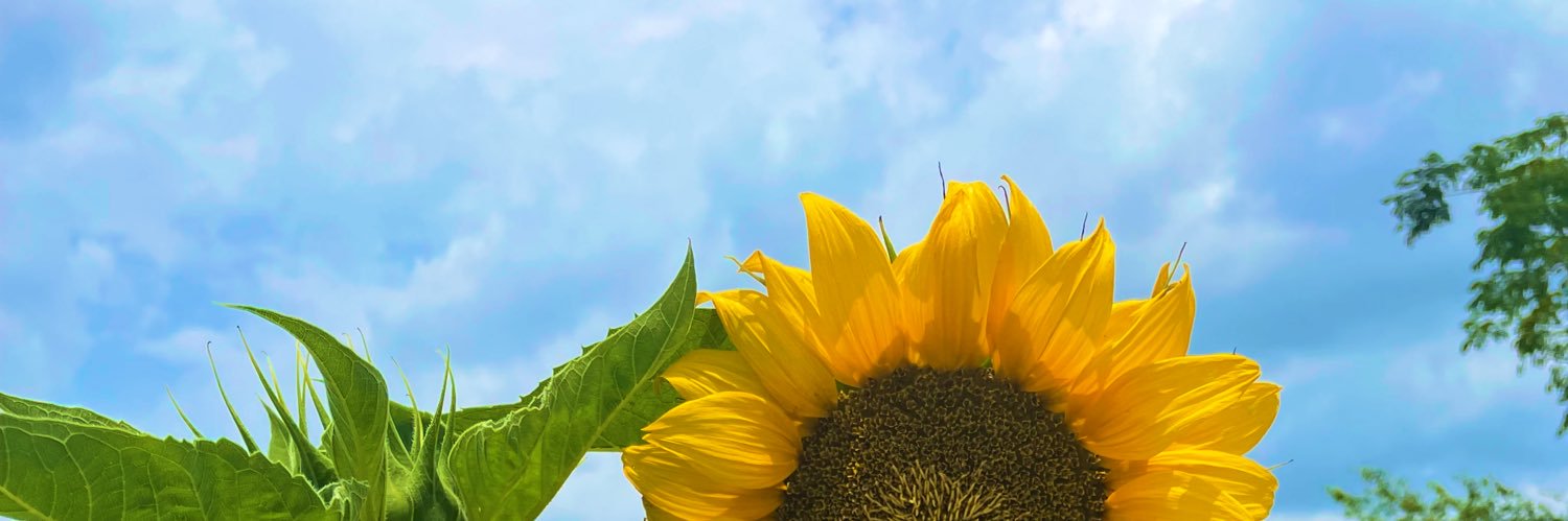 andreadazalo's profile banner image