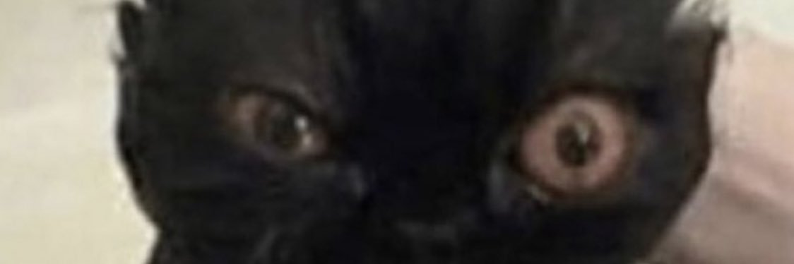 juditcr22's profile banner image
