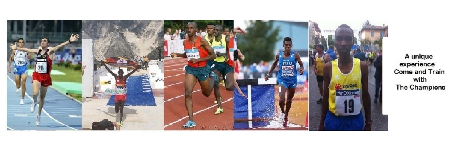 TuscanyTraining's profile banner image
