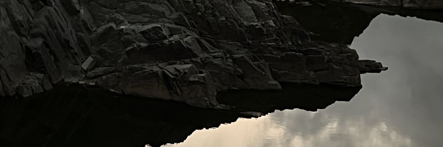 Steve McIntosh banner