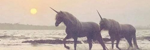 itzayeliavalos's profile banner image