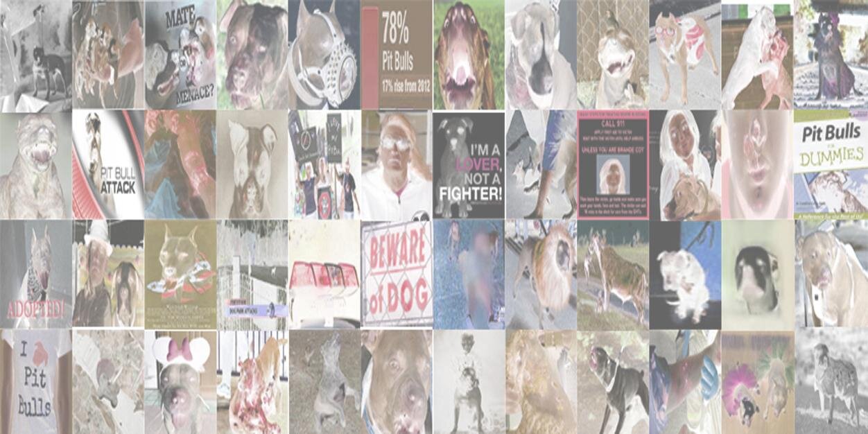 PitBullProp's profile banner image