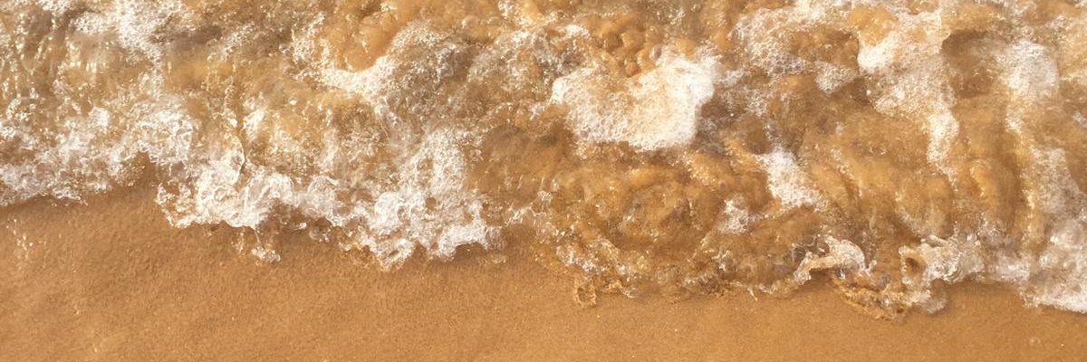 annabeldickson_'s profile banner image
