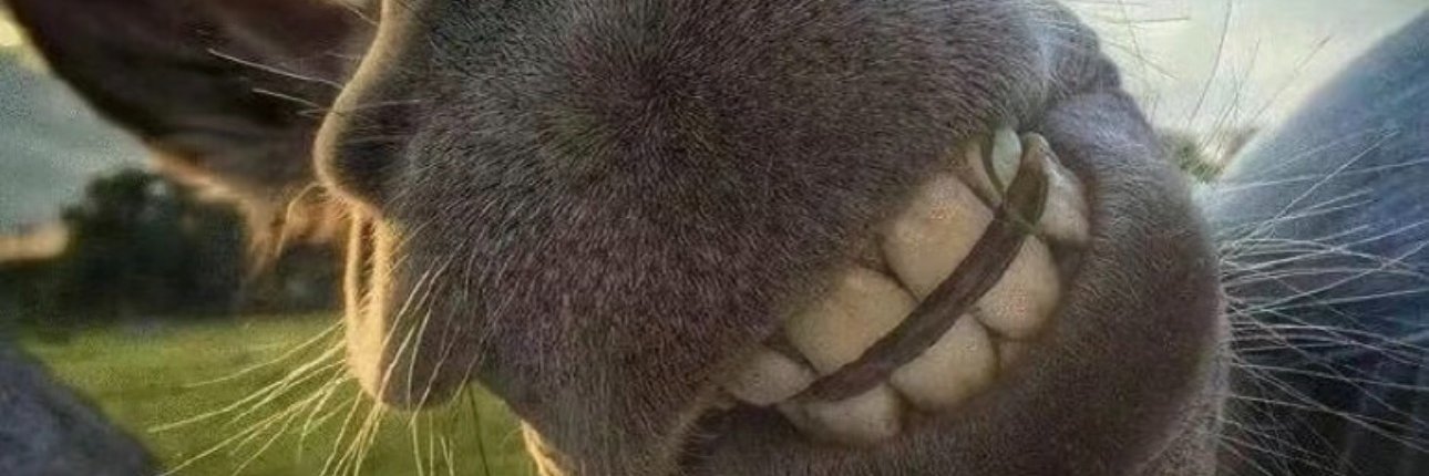 BauchmanChad's profile banner image