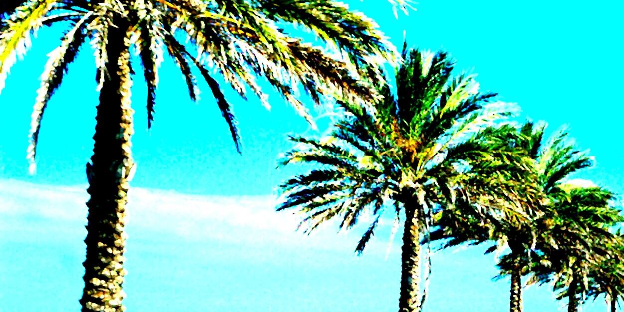 Hello Acapulco banner