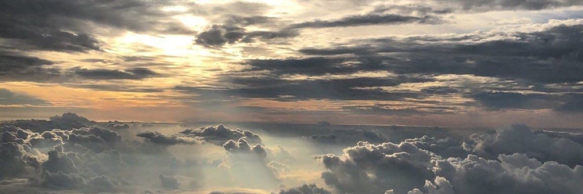 Penny 🧚‍♀️ banner