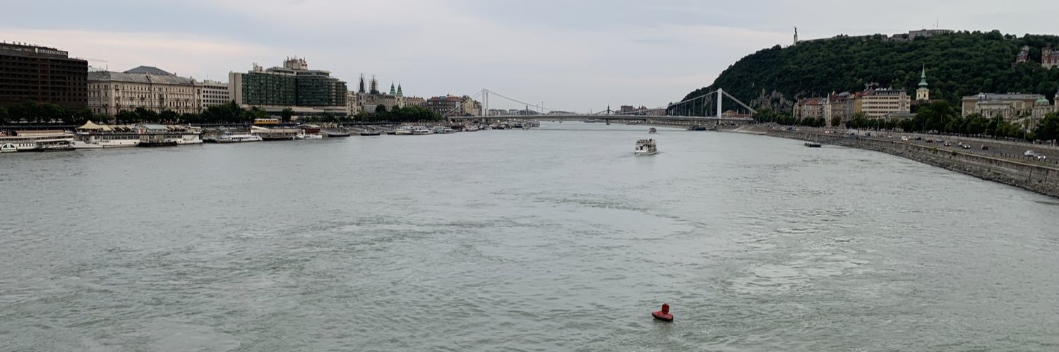 Enrique J. Benitez Palma banner