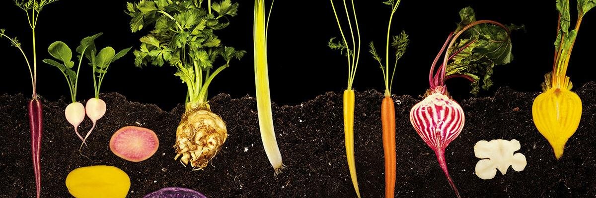 spread'em kitchen banner