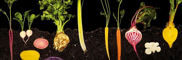 spreademkitchen Profile Banner