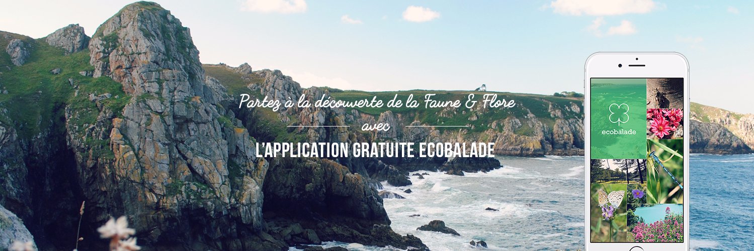 ecobalade's profile banner image