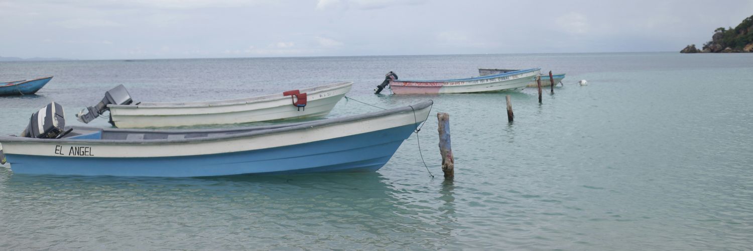 John-Mark Clark banner