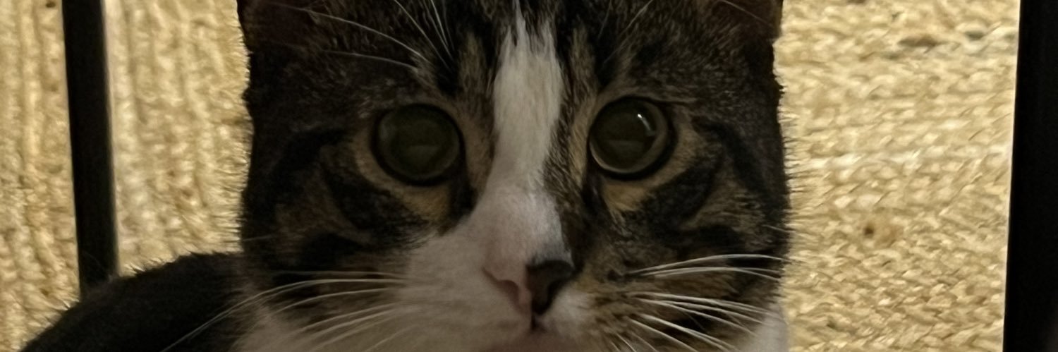 benmertbasbug's profile banner image