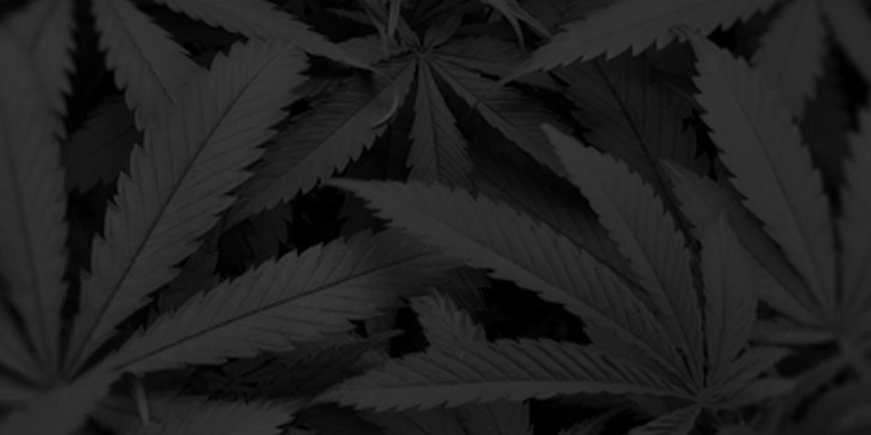 FourXXClub's profile banner image